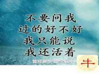 南京墨丘利家居有限公司