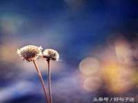 南京墨丘利家居有限公司