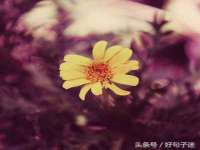 南京墨丘利家居有限公司
