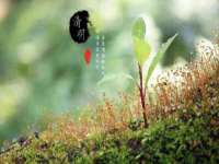 南京墨丘利家居有限公司