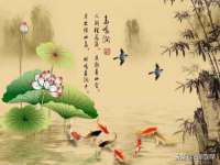 南京墨丘利家居有限公司