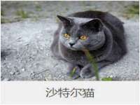 南京墨丘利家居有限公司