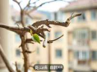 南京墨丘利家居有限公司