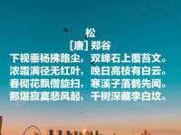 南京墨丘利家居有限公司