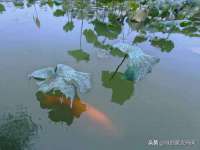 南京墨丘利家居有限公司