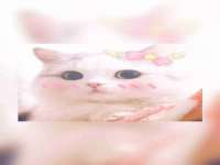 南京墨丘利家居有限公司