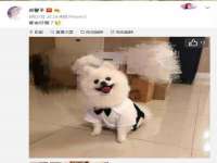 南京墨丘利家居有限公司
