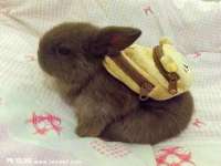 南京墨丘利家居有限公司