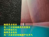 南京墨丘利家居有限公司