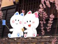 南京墨丘利家居有限公司