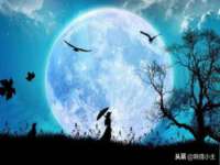 南京墨丘利家居有限公司