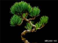 南京墨丘利家居有限公司